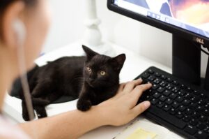 A hand on a keyboard with a black cat on the desk putting it's paw on the hand