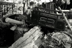 A radio on some logs in a garden