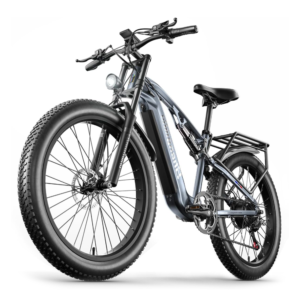 VLFINA Fat Tire Electric Bike