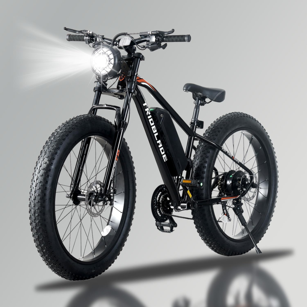 TRIOBLADE Fat Tire Electric Bike