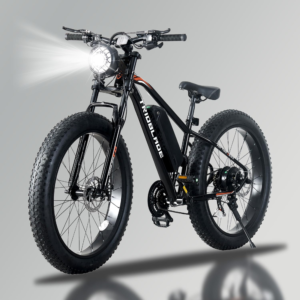 TRIOBLADE Fat Tire Electric Bike