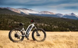 An electric bike in a field with a forest and mountain range behind it