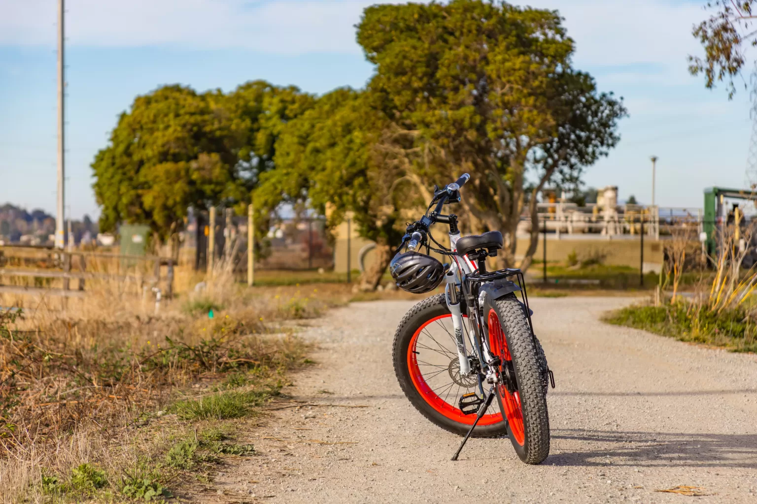 A Fat Tire Electric Bike stood on a kick stand on a trail with trees behind it