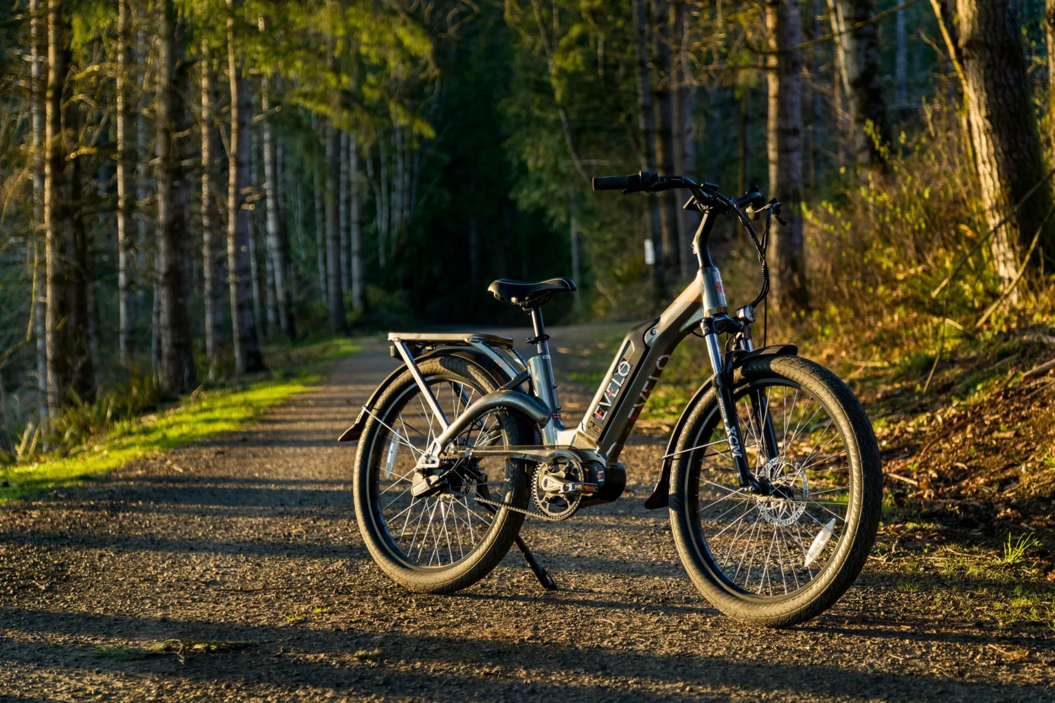 Electric bike on it's kickstand on a woodland path