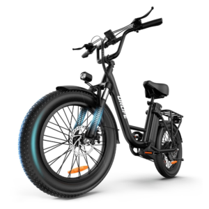 URLIFE Electric Bike for Adults