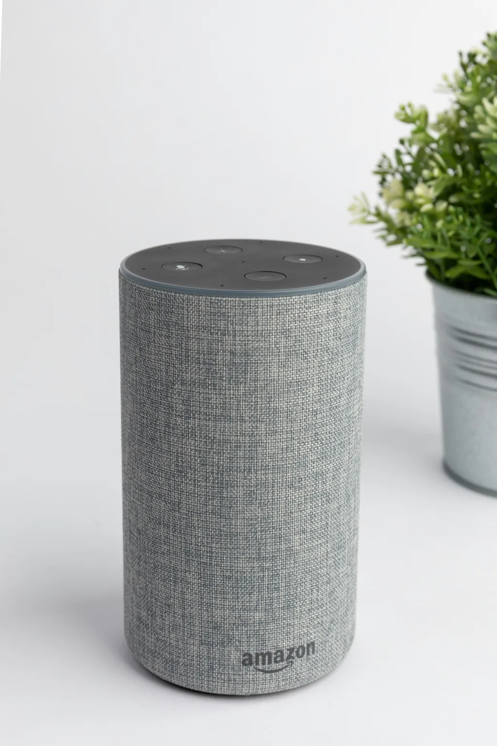 Amazon Alexa in white space next to plant in a pot