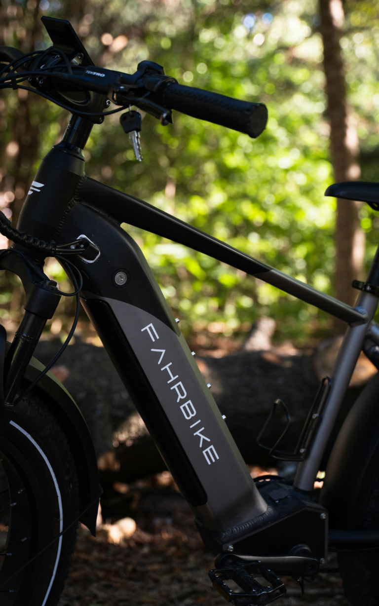 How to Extend Electric Bike Battery Lifespan