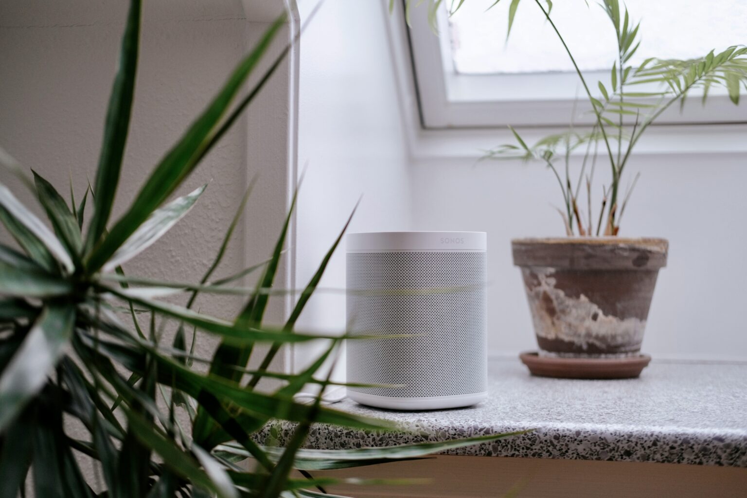 Best Mesh WiFi Systems for Home (Top Picks for Speed & Coverage)