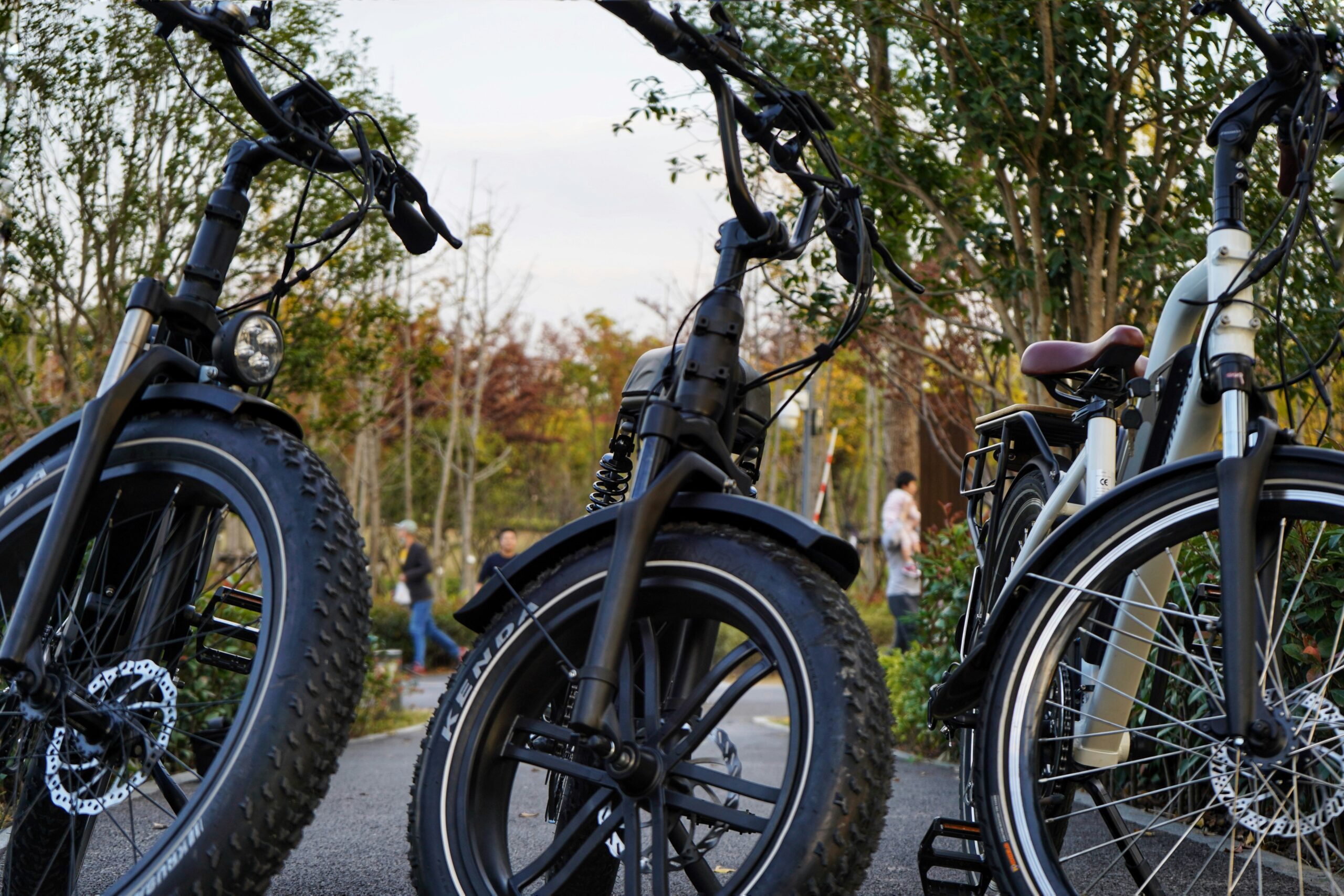 Electric Bike Types Compared: Folding vs Fat Tire vs Commuter vs Mountain Ebikes