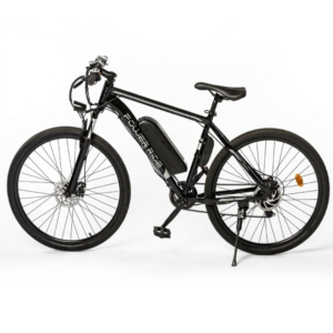 Power-Ride EAGLE Electric Mountain Bike